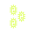 ANTI-MICROBIAL PROTECTION